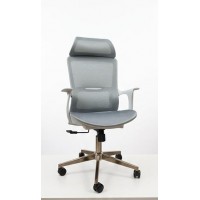   Chair Manager Mode...