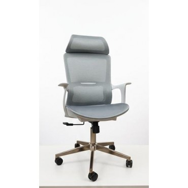   Chair Manager Mode...